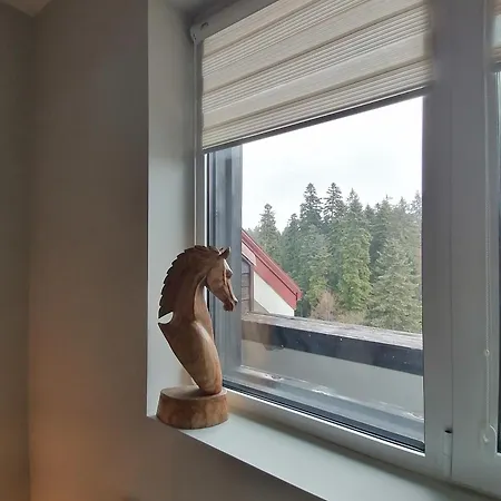 Iglika 2, A13 & A14 * بوروفتس