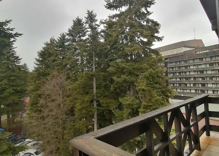 Appartement Iglika 2, A13 & A14