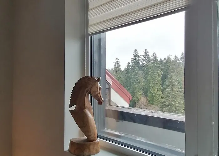 Iglika 2, A13 & A14 * Borovets